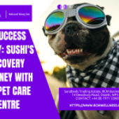 A Success Story: Sushi’s Recovery Journey with The Pet Care Centre